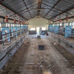 16 x Tandem Cages / Hokke