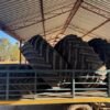 4x Nortec 800/65 R32 Gebruikte Stroper Bande / Used Harvester Tires