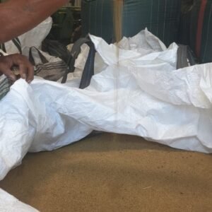 8 Ton SA Standard Lucerne Seed / Lusern Saad