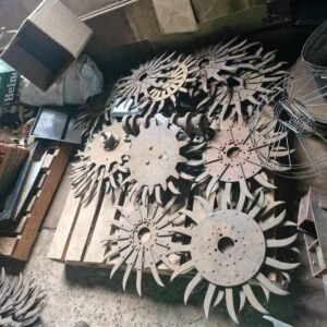 35 x Rol Eg Tande / Centipede Teeth