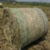 Erogratis / Oulands Grasbale / Grass Bales